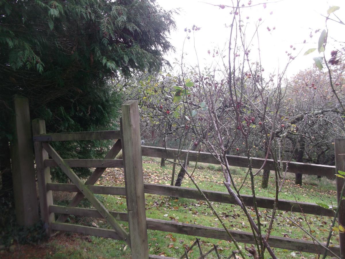 Lowerfield House Bed and Breakfast Lapford Exterior foto